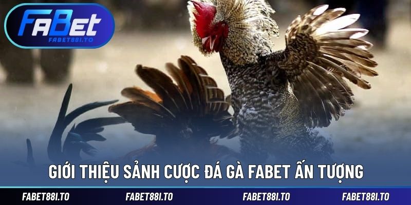 Đá Gà FABET - Quy Tụ Đa Dạng Chiến Kê Hàng Đầu Khu Vực - yavin.lol