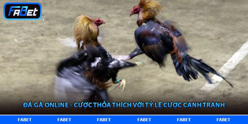 FABET – Trang Chủ FABET.COM Nền Tảng Thể Thao Xanh Chín Số 1 Châu Á 2026 - yavin.lol