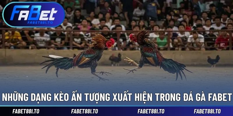Đá Gà FABET - Quy Tụ Đa Dạng Chiến Kê Hàng Đầu Khu Vực - yavin.lol
