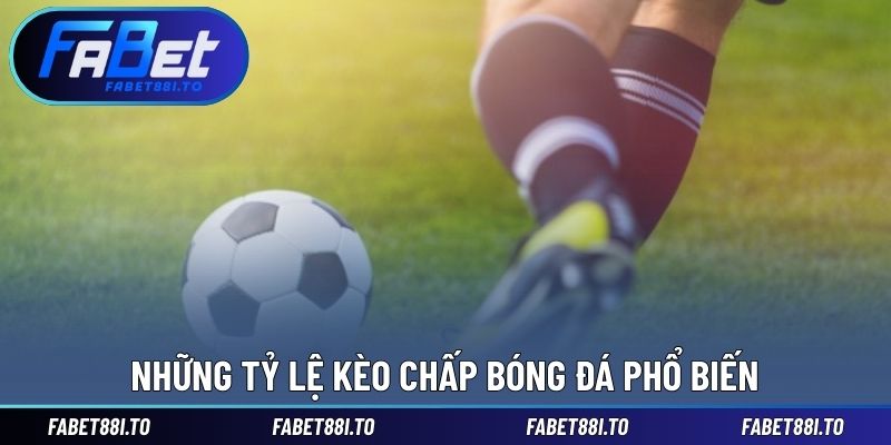 Cách Bắt Kèo Chấp Chuẩn – Đọc Kèo Không Bị Lệch Chi Tiết - yavin.lol