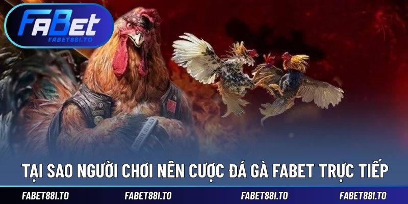 Đá Gà FABET - Quy Tụ Đa Dạng Chiến Kê Hàng Đầu Khu Vực - yavin.lol
