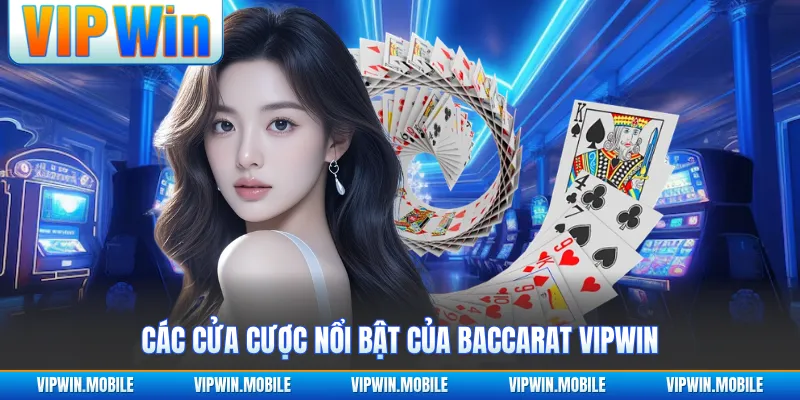 Baccarat VIPWIN - Nhịp Chia Bài Kịch Tính Qua Từng Ván - yavin.lol
