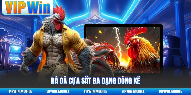 Đá Gà Cựa Sắt - Trận Đấu Chiến Kê Quyết Liệt Gây Chú Ý - yavin.lol