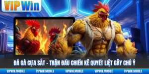 Đá Gà VIPWIN - Giao Tranh Chiến Kê Gay Cấn Suốt Từng Hồ - yavin.lol