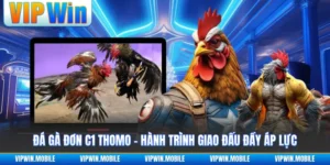 Đá Gà VIPWIN - Giao Tranh Chiến Kê Gay Cấn Suốt Từng Hồ - yavin.lol