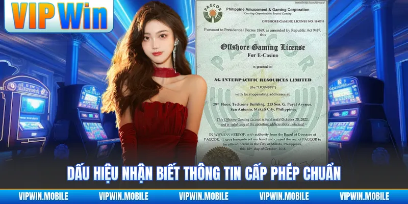 Giấy Phép Hoạt Động VIPWIN - Góc Nhìn Pháp Lý Rõ Ràng - yavin.lol