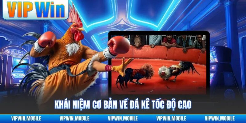 Đá Gà Cựa Sắt - Trận Đấu Chiến Kê Quyết Liệt Gây Chú Ý - yavin.lol