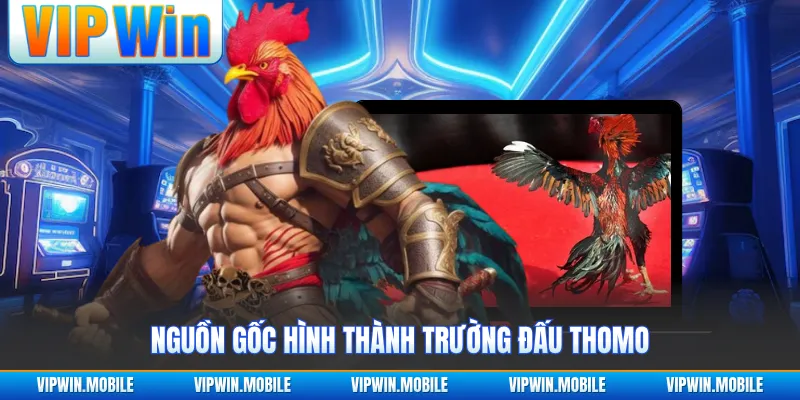 Đá Gà Đơn C1 Thomo - Hành Trình Giao Đấu Đầy Áp Lực - yavin.lol