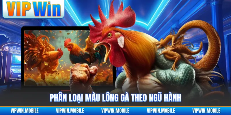 Bảng Màu Mạng Gà Đá Theo Ngày Chuẩn Chỉnh Cho Sư Kê - yavin.lol