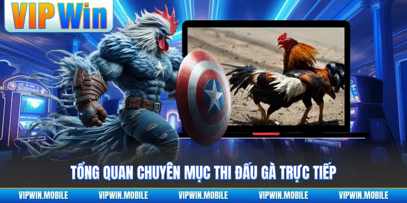 Đá Gà VIPWIN - Giao Tranh Chiến Kê Gay Cấn Suốt Từng Hồ - yavin.lol