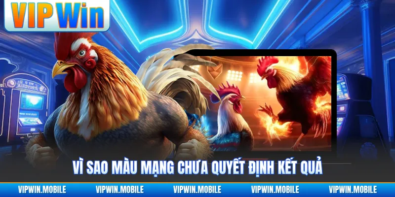 Bảng Màu Mạng Gà Đá Theo Ngày Chuẩn Chỉnh Cho Sư Kê - yavin.lol